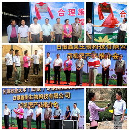 甘肅農(nóng)業(yè)大學(xué)在白銀市設(shè)立有機(jī)肥料專家大院，推動(dòng)生物質(zhì)能技術(shù)綠色升級(jí)