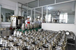 金正恩視察平壤兒童食品廠，鼓勵打造世界領先工廠